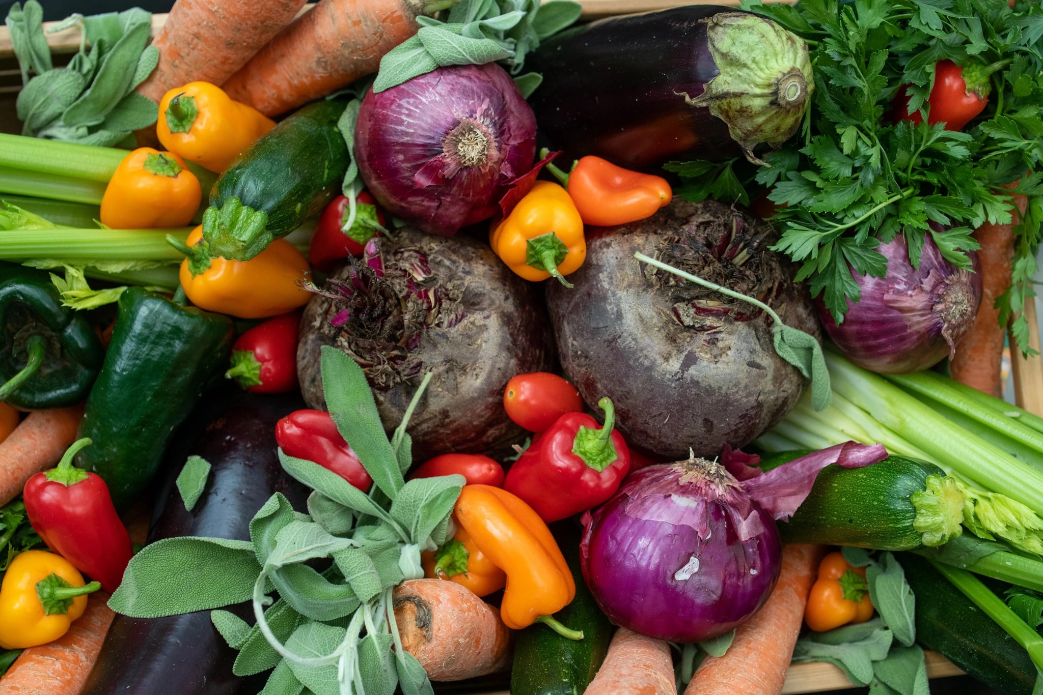 Rooftop-grown produce from Javits Center’s Steel Farm