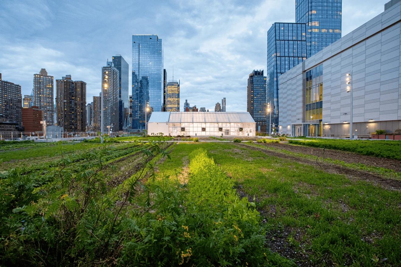 Javits Center roof top with view of New York City skyline